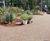 Decorative resin bound walkways for shopping complex 5