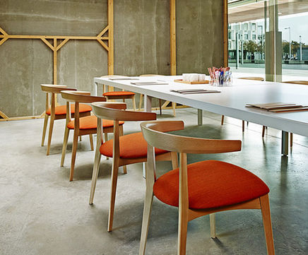 Carola wooden chairs and armchairs