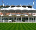Greenscape turf (with ryegrass)