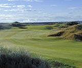 County Fescue golf course turf - on this page