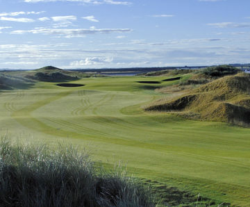 County Fescue golf course turf