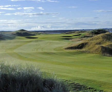 County Fescue golf course turf