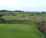 County Greens turf for golf greens and bowling greens