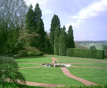 Lawnscape turf (without ryegrass)