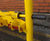 Scooter racks and shelters 8