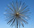 Allium water feature sculpture 4