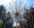 Allium water feature sculpture 5
