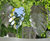 Cheese Plant stainless steel sculptures 3