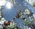 Cheese Plant stainless steel sculptures 1