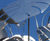 Cheese Plant stainless steel sculptures 0