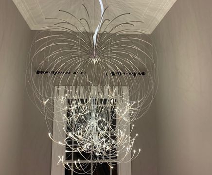Organic stainless steel and fibre optic pendant light