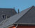 CUPA 25 blue-black slate roof tiles with smooth surface 1