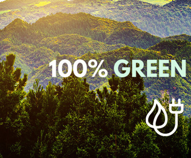 All electric energy used by CUPA PIZARRAS is renewable