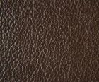 Birch corrected grain leather