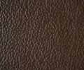 Birch corrected grain leather