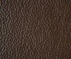 Birch corrected grain leather
