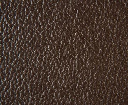 Birch corrected grain leather