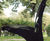 Piano - galvanised, coated steel bench 4