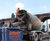 RCW (Roadside Concrete Washout System) 1