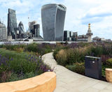 Pedestal system for contrasting surfaces of roof garden  - on this page