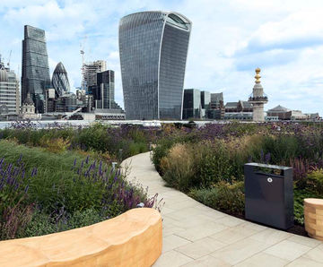 Pedestal system for contrasting surfaces of roof garden 