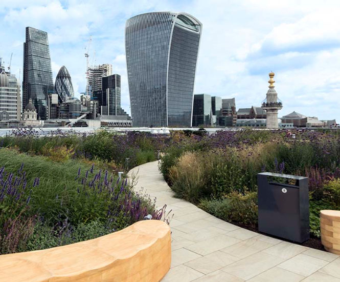 Pedestal system for contrasting surfaces of roof garden 