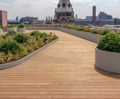 Adjustable pedestal system for corporate roof terrace