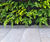 Porcelain tiles and pedestals for new TJX Headquarters 6