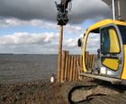 Durable hardwood timber piles