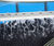 Equiflo rotary distributor 2
