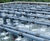 Trickling filter system meets discharge water consent 0