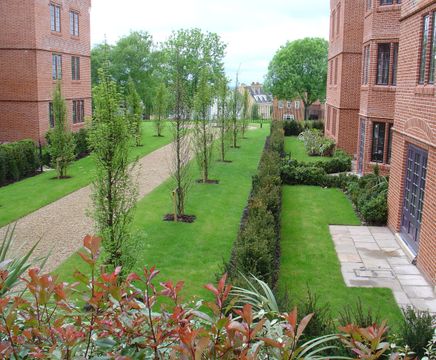 From little acorns great oaks grow: Oak View's 10 years