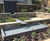 Bespoke mirror pools and water walls - residential 5