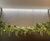 Bespoke AquaVeil® water wall feature specialists 1