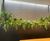 Large interior AquaVeil® water wall for commercial project 1