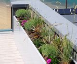 Bespoke steel planters for luxury beachfront residence - on this page