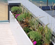 Bespoke steel planters for luxury beachfront residence
