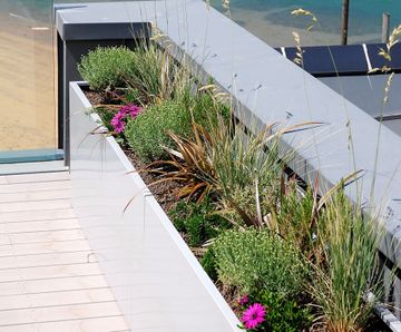 Bespoke steel planters for luxury beachfront residence