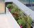 Bespoke steel planters for luxury beachfront residence 0