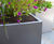 Bespoke steel planters for luxury beachfront residence 9