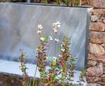 Bespoke hot dip galvanised steel planters