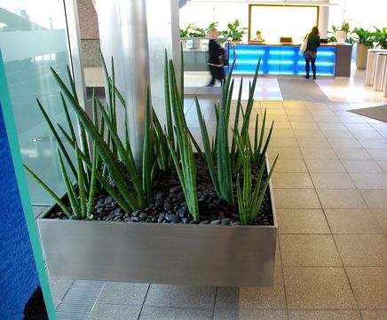 Stainless steel plant containers