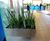 Stainless steel plant containers 0