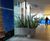 Stainless steel plant containers 2