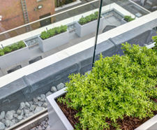 Bespoke steel planters for investment company terrace