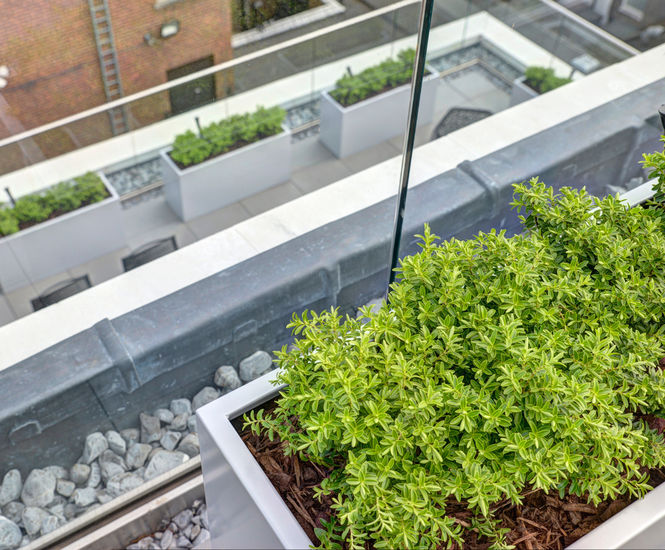 Bespoke steel planters for investment company terrace