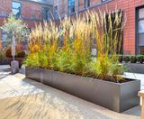 Planters for communal courtyard, residential development - on this page