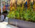 Planters for communal courtyard, residential development 4