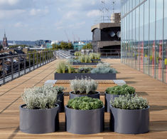 Bespoke steel planters – Warner Bros office roof terrace