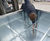 Bespoke stainless steel tree planters – Havering 3